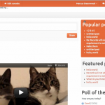 Usability testing